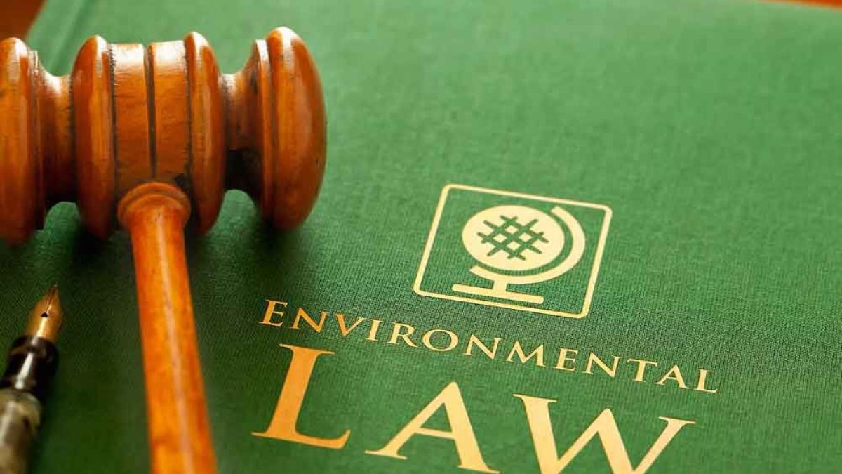 Environmental Law Dissertation  A Comprehensive Resource